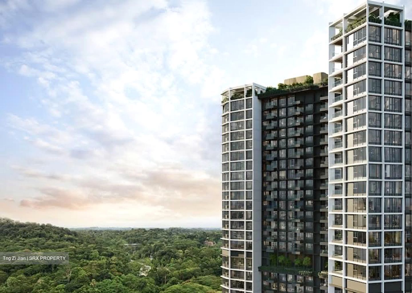 The Reserve Residences (D21), Apartment #549752111